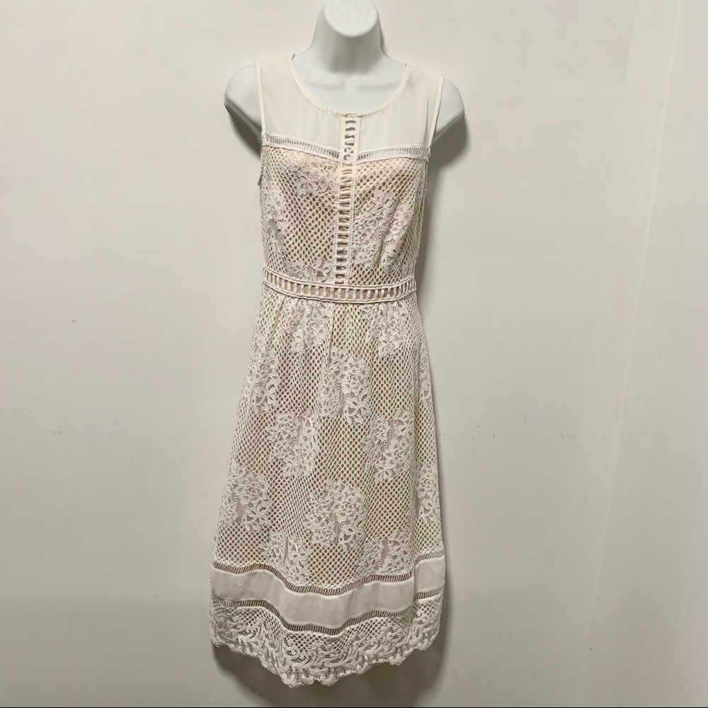 Jax black label midi lace dress size 8 color cream.